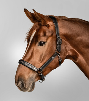 Kantar skórzany Waldhausen Crystal