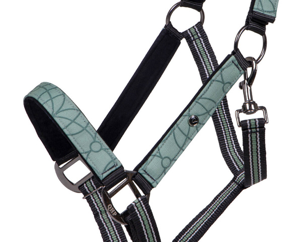 Kantar z uwiązem QHP Collection