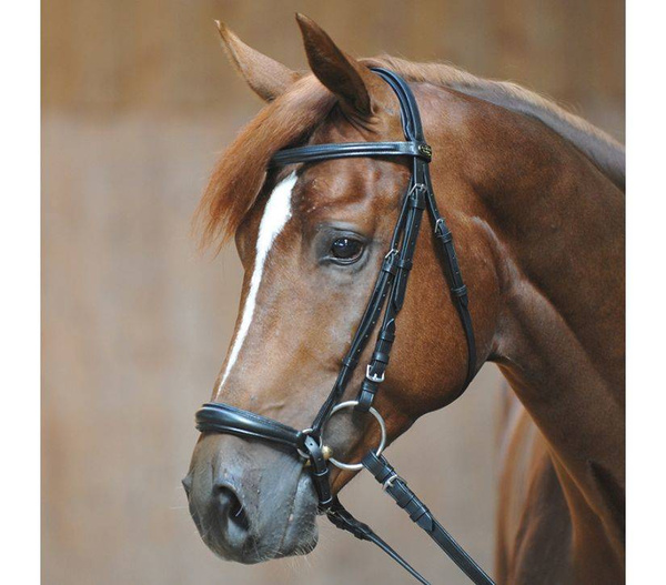 Ogłowie z nachrapnikiem hanowerskim Kavalkade Lina