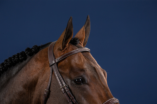 Ogłowie z nachrapnikiem angielskim Dy'on Hunter Collection USKOAK