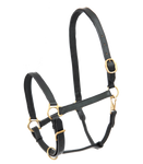 Kantar skórzany Star Robust