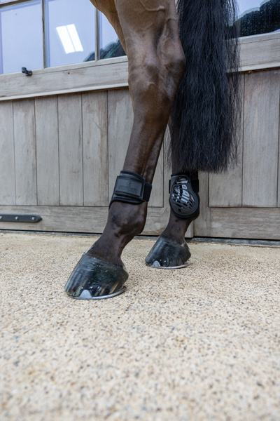 Ochraniacze tylne Kentucky Horsewear Young Horse TPU