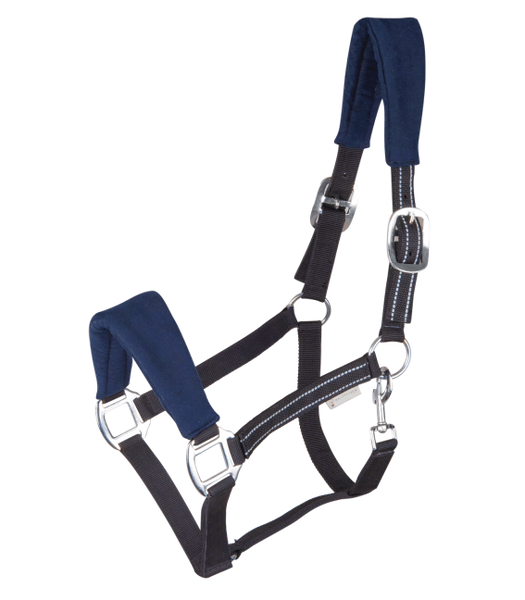 Kantar Waldhausen Alcantara