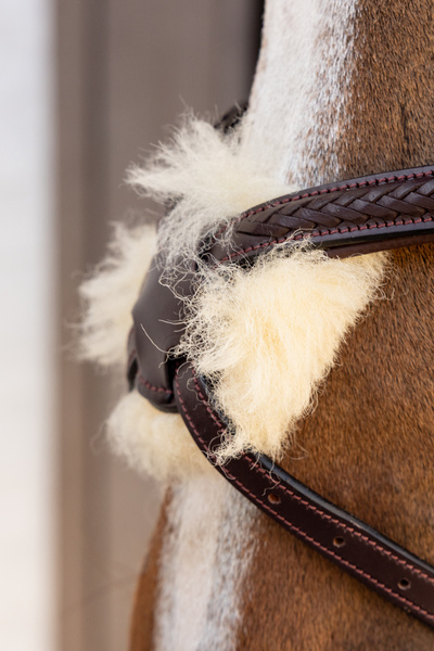 Ogłowie z nachrapnikiem meksykańskim Dy'on New EnglishCollection Plaited NEAOAV