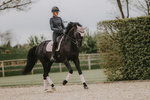 Czaprak ujeżdżeniowy Kentucky Horsewear Velvet Pearls