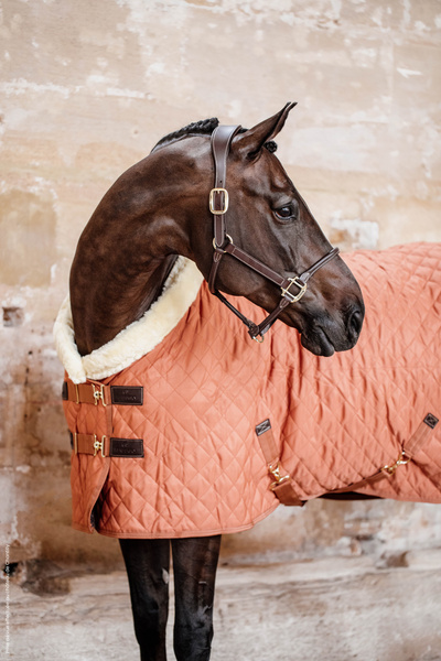 Kantar anatomiczny Kentucky Horsewear Anatomic Leather Halter