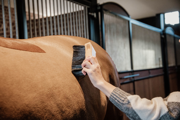 Szczotka do sierści Grooming Deluxe Middle Hard