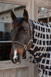 Kaptur do derki Kentucky Horsewear All Weather Waterproof Comfort 0g