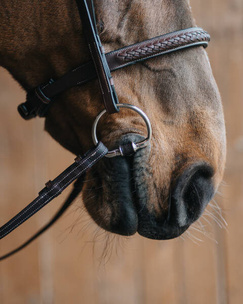 Wędzidło oliwkowe FAGER Adam - skórzana sztanga