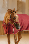 Derka osuszająco-termiczna dla konia Kentucky Horsewear Cooler Rug PROtherm