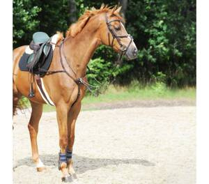 Napierśnik z wytokiem Kavalkade Leyla