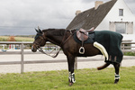 Derka polarowa Kentucky Horsewear Fleece Show Rug Heavy