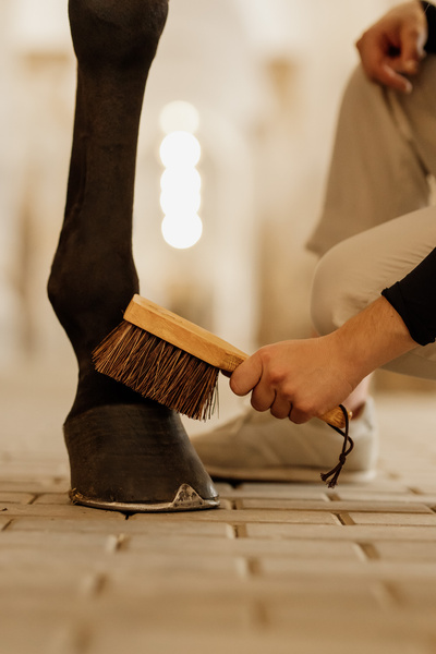 Szczotka do kopyt Grooming Deluxe