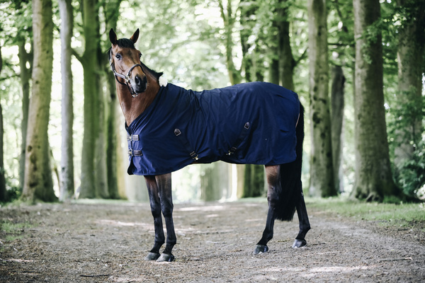Derka bawełniana Kentucky Horsewear Cotton Sheet