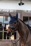 Nauszniki wyciszające Kentucky Horsewear Wellington Stone & Pearl
