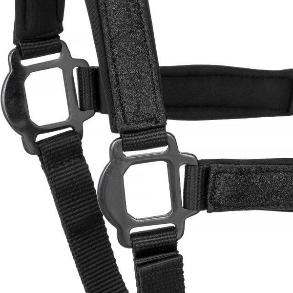 Kantar START Glitter