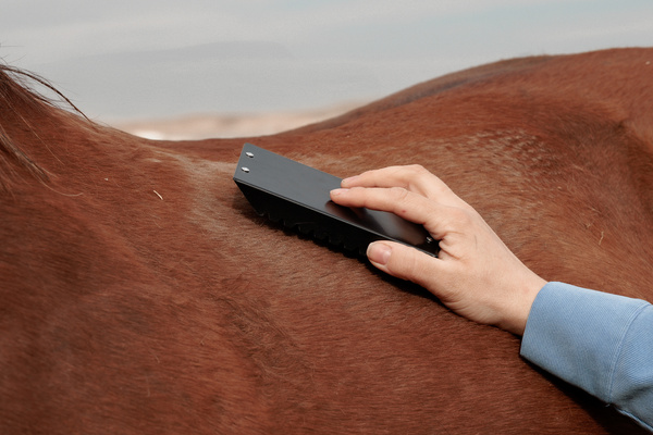 Zgrzebło metalowe Grooming Deluxe