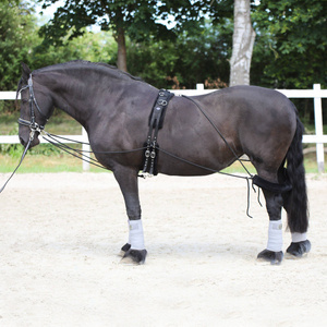 Pomoc do lonżowania typu Pessoa York