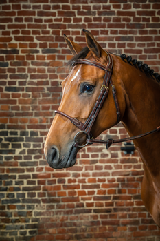 Ogłowie z pokrytym skórą nachrapnikiem sznurkowym Dy'on D Collection DYAAAI