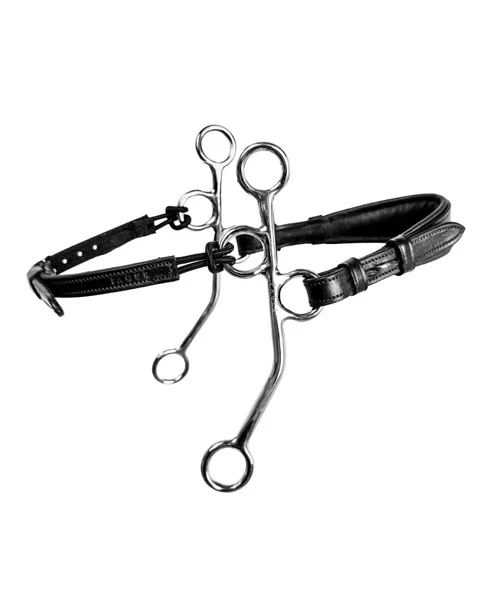 Czanki Hackamore Fager Hunter