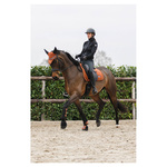 Kaloszki ANKY® ATB23006