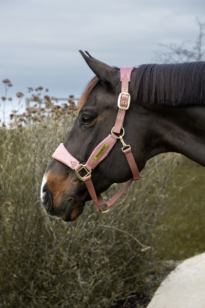 Kantar dla konia Kentucky Horsewear Velvet Unicorn Glitter