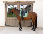 Czaprak  ujeżdżeniowy Kentucky Horsewear Velvet Printing