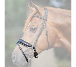 Nachrapnik szwedzki Kavalkade