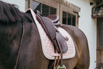 Czaprak  ujeżdżeniowy Kentucky Horsewear Plaited Cord