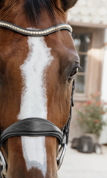 Nachrapnik anatomiczny Dy'on D Collection DY041