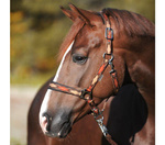 Kantar Kavalkade Classic Raute