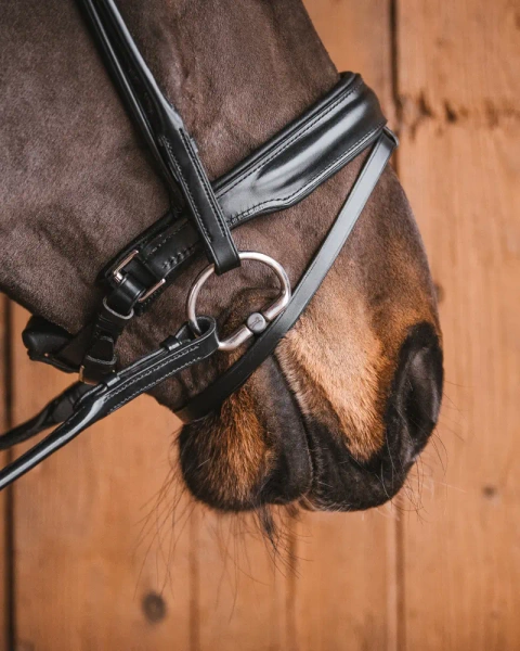 Wędzidło oliwkowe FAGER Vendela Titanium Bradoon - podwójnie łamane