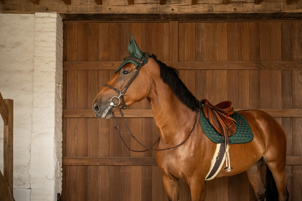 Czaprak wszechstronny Kentucky Horsewear Onion Plaited Glitter Rope