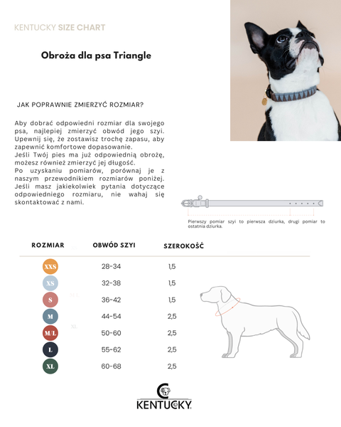 Obroża dla psa Kentucky Dogwear Triangle