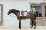Czaprak  ujeżdżeniowy Kentucky Horsewear Plaited Cord