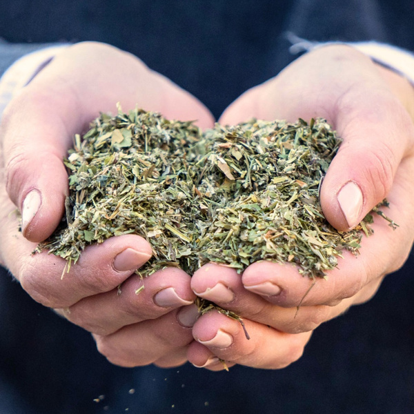 Mieszanka ziołowa na nerki Stiefel