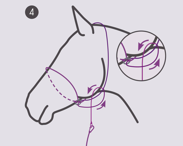 Kantar do zdjęć QHP