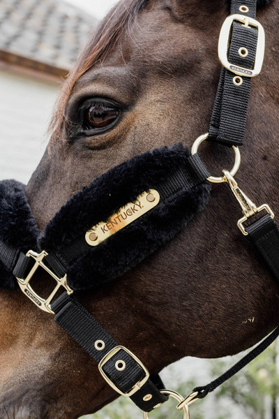 Kantar z futrem syntetycznym Kentucky Horsewear Nylon Sheepskin Halter Soft