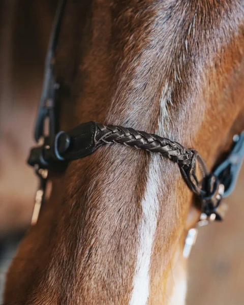 Pasek do wędzidła hackamore Fager Richard