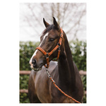 Kantar z uwiązem ANKY® Stones