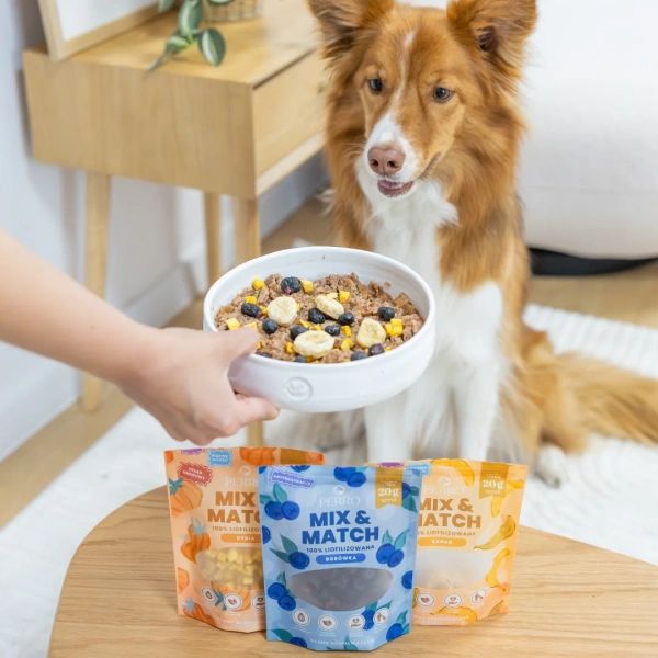 Liofilizowane przysmaki warzywne Perro - Borówka amerykańska