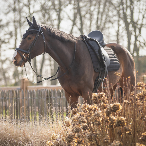 Nauszniki QHP Salerno