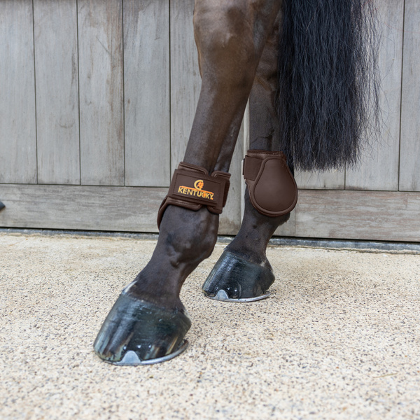 Ochraniacze tylne Kentucky Horsewear Young Horse Classic