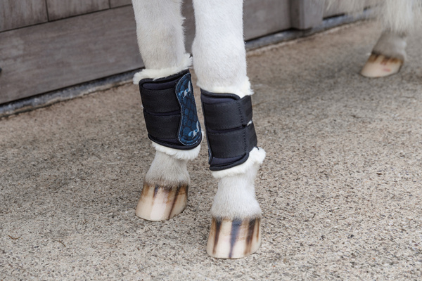 Ochraniacze dla kucyka Kentucky Horsewear Sammy Horse Design