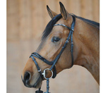 Ogłowie z anatomicznym nachrapnikiem Kavalkade Ivana