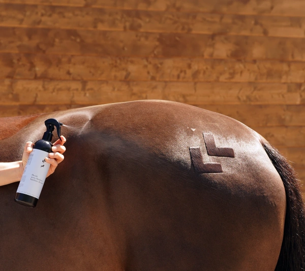 Spray chłodząco-łagodzący dla koni LULLALOVE Mrozik