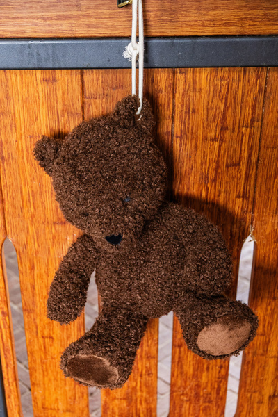 Zabawka dla konia do boksu Kentucky Horsewear Bear