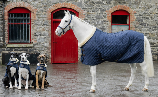 Derka stajenna Kentucky Horsewear Show Rug Logo 160g