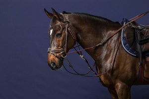 Wodze gumowe do goga Dy'on Working Collection WO05U