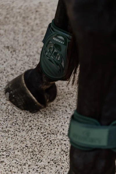 Ochraniacze tylne Kentucky Horsewear Young Horse TPU